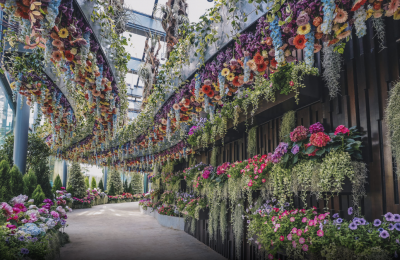 Gardens by the Bay