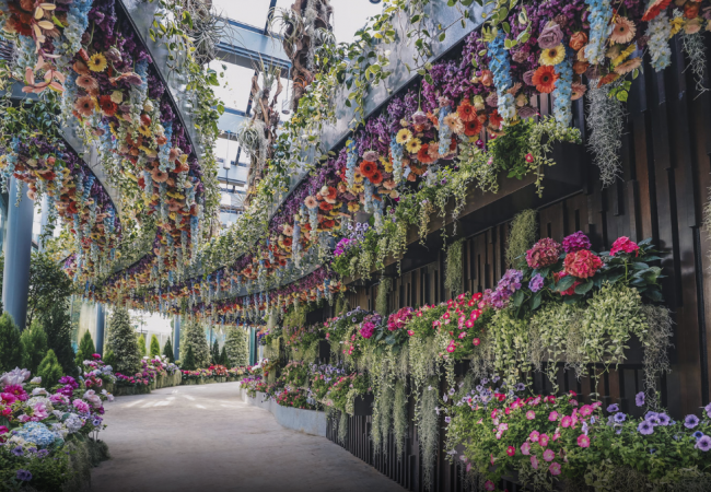 Gardens by the Bay