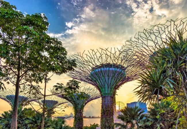 Verde Casino in DE: Eine neue Ära des digitalen Casino-Spiels und Slot-Gamings