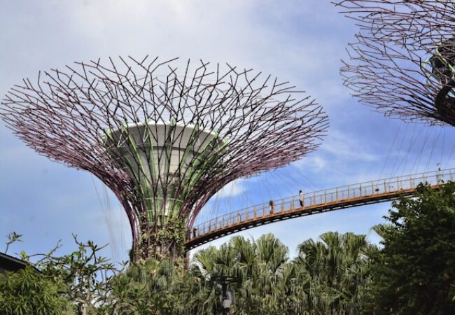 Breaking Down the Odds: A Comprehensive Look at Winning Strategies at Winarilines Casino