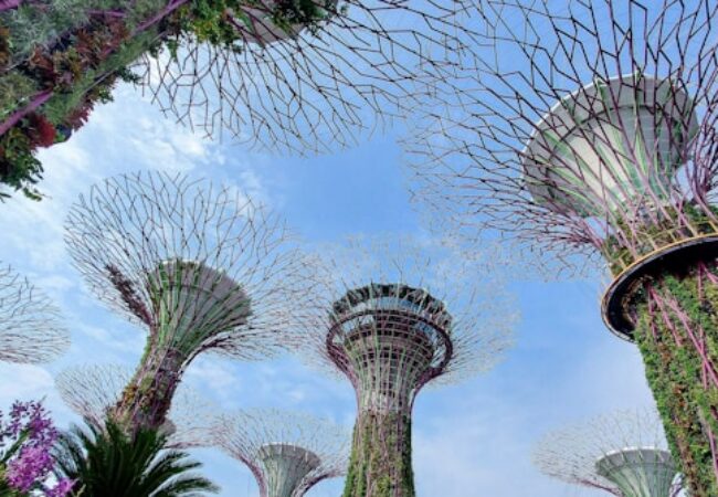 Die Geheimnisse des Gewinnens im WinBay Casino: Ein exklusiver Leitfaden für DE-Spieler