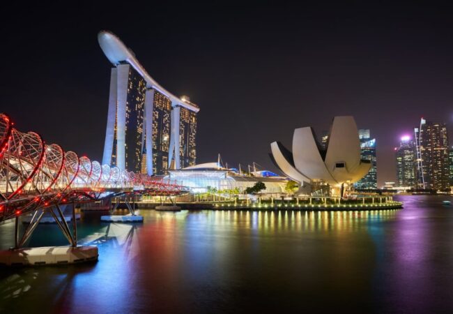 The Rise of Paid Online Tutoring Platforms in Singapore