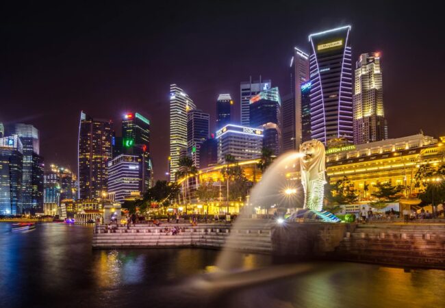 Why Singaporean Students Turn to Paid Homework Help Services