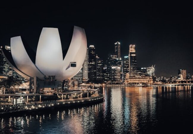 BmBet and the New Face of Casino Streaming: Where Real Play Meets Digital Leisure
